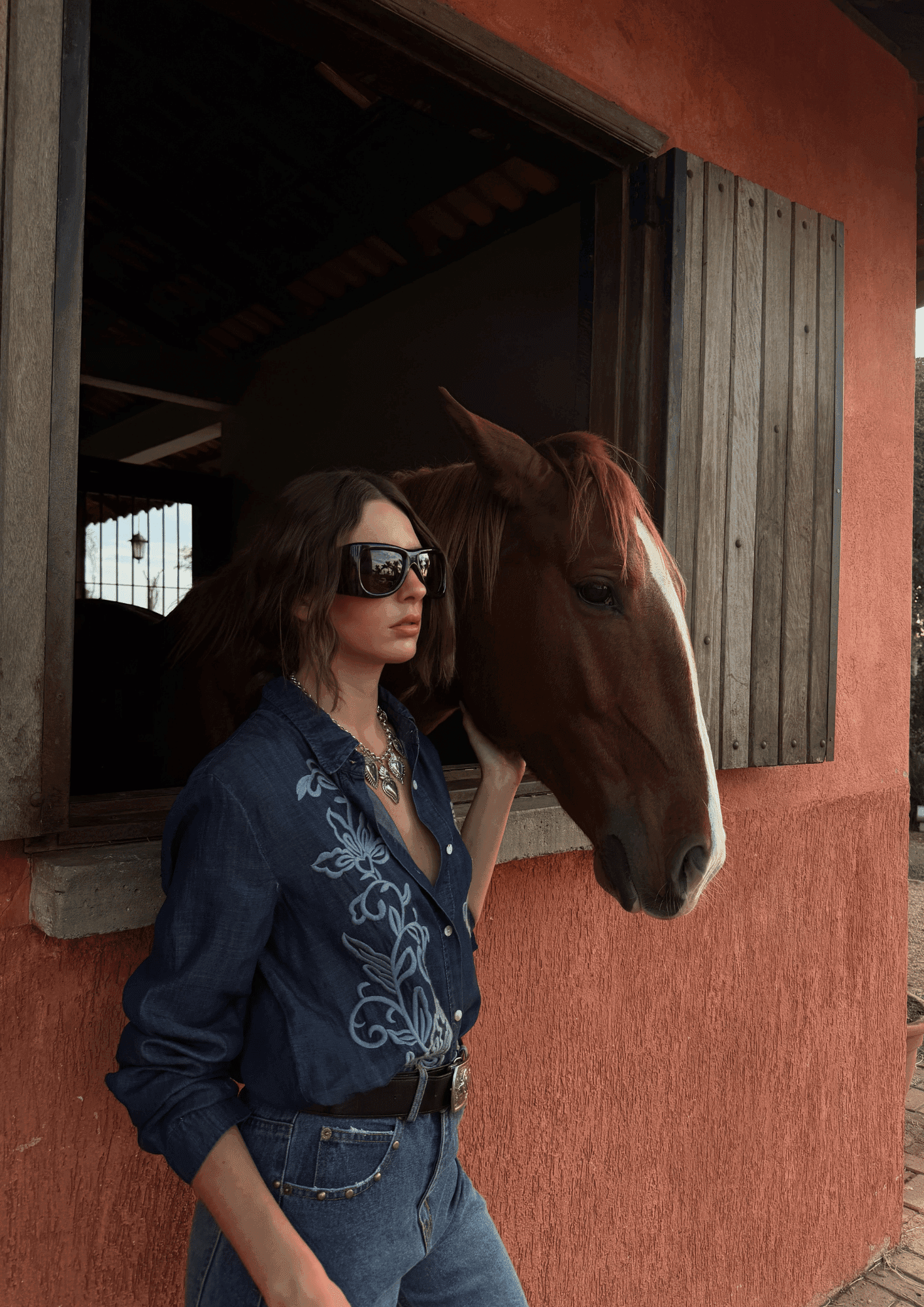 CAMISA JEANS BORDADO EM RAMOS